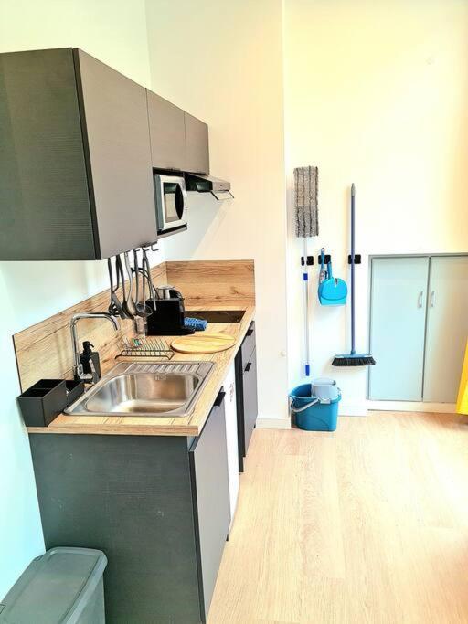 Le Cosy Central Moderne Et Chaleureux Saint-Etienne  Eksteriør billede