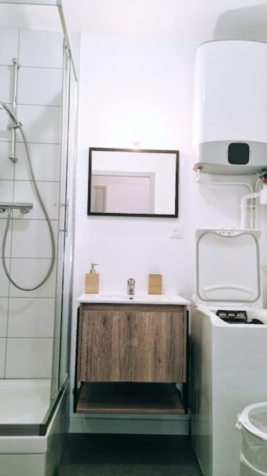 Le Cosy Central Moderne Et Chaleureux Saint-Etienne  Eksteriør billede