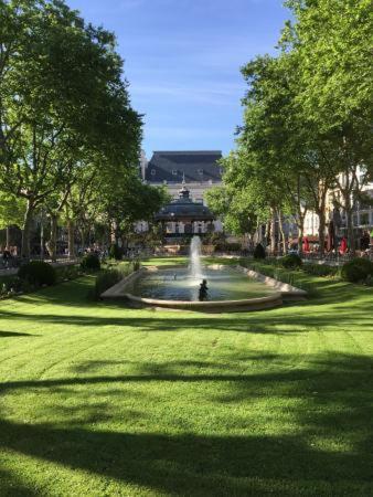Le Cosy Central Moderne Et Chaleureux Saint-Etienne  Eksteriør billede